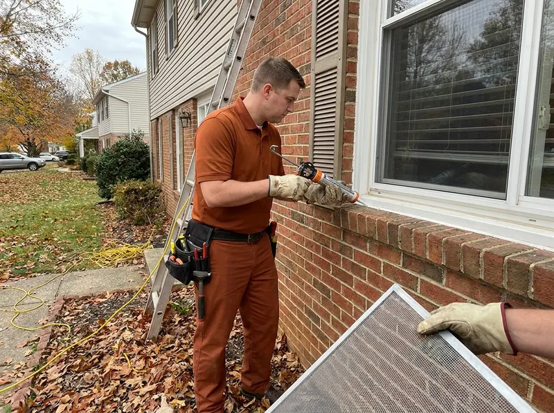 Stink Bug and Boxelder Bug Fall Exclusion in Fallston, MD
